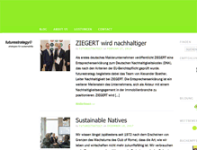 Tablet Screenshot of futurestrategy.de